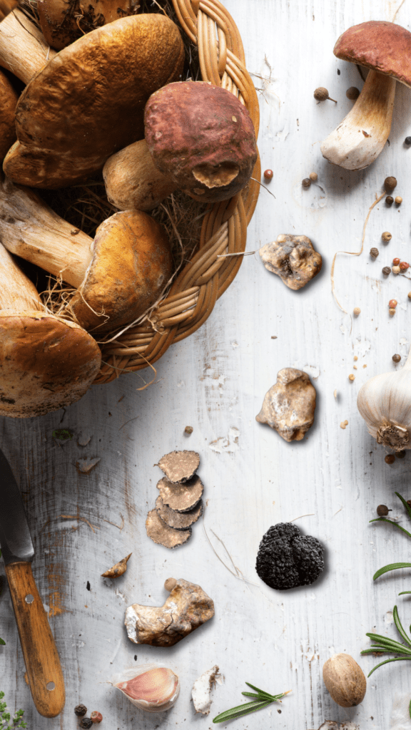 Porcini & Tartufi per applicazioni alimentari